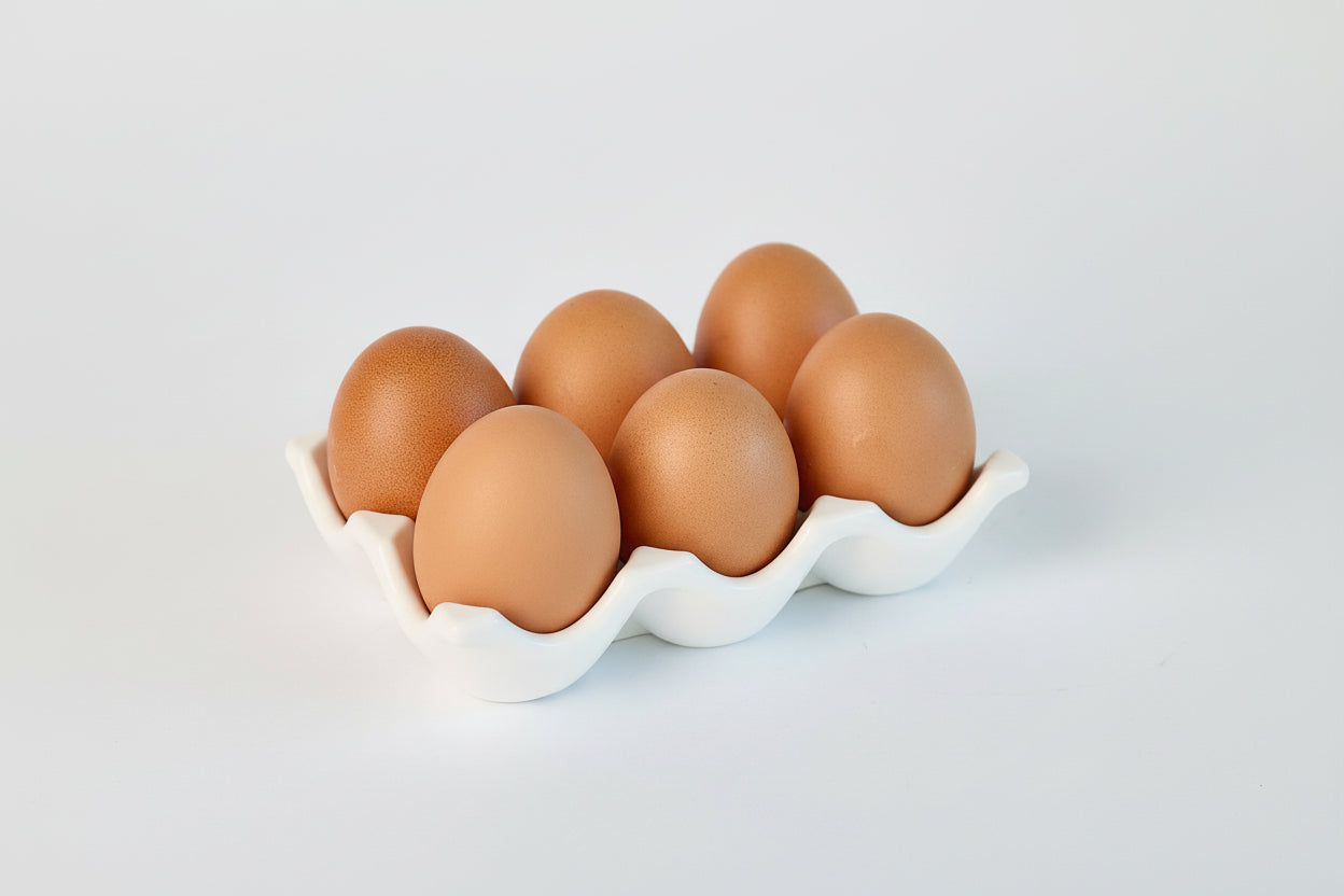 Six brown eggs in a white ceramic carton on a light gray background